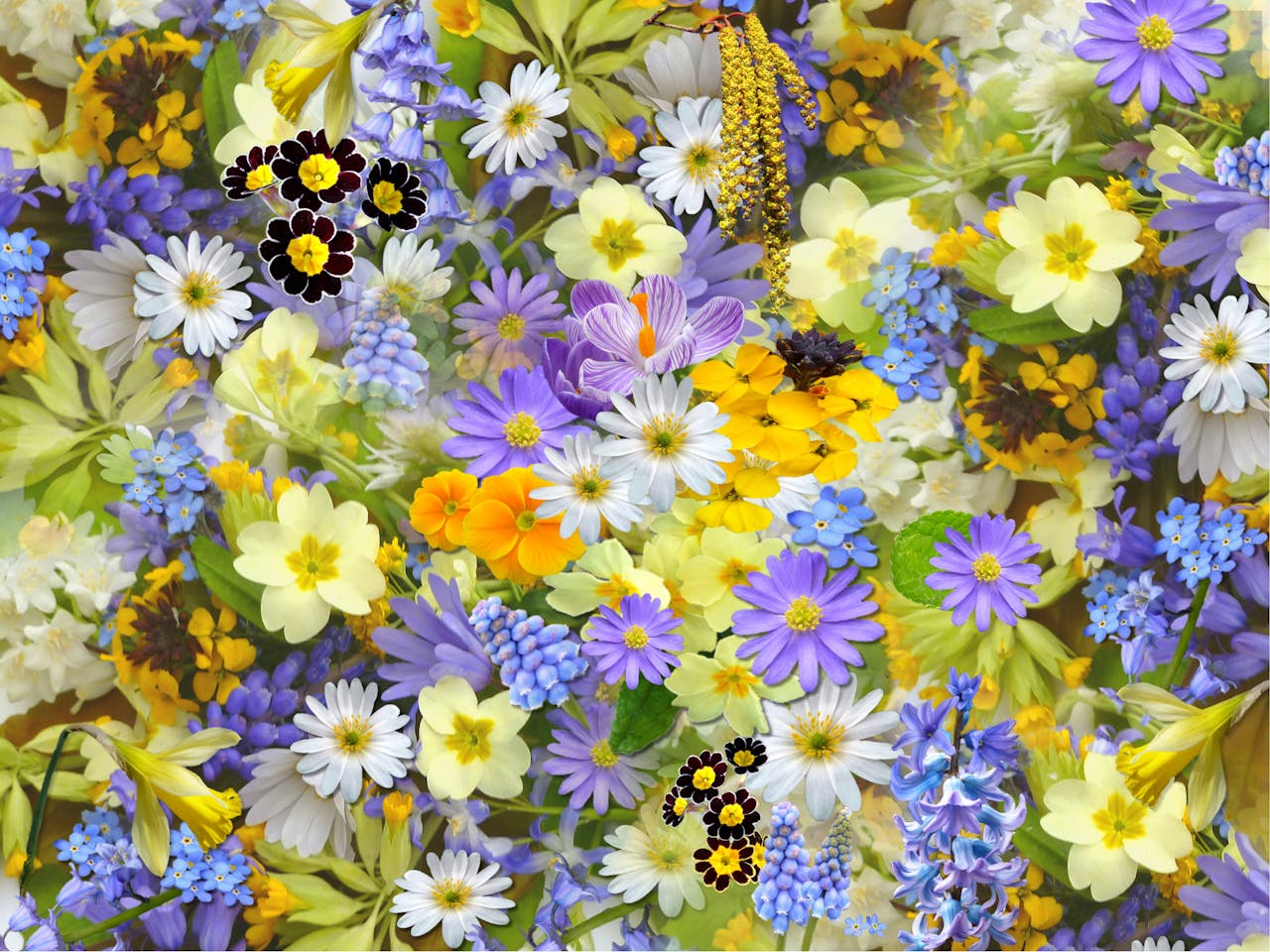 winterharde planten met bloemen